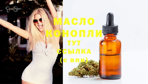 apvp Вяземский