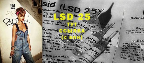 apvp Вяземский